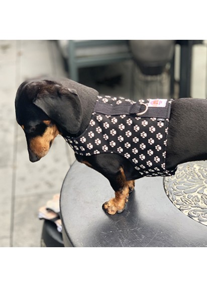 Easyfit Dog Harness - Size S